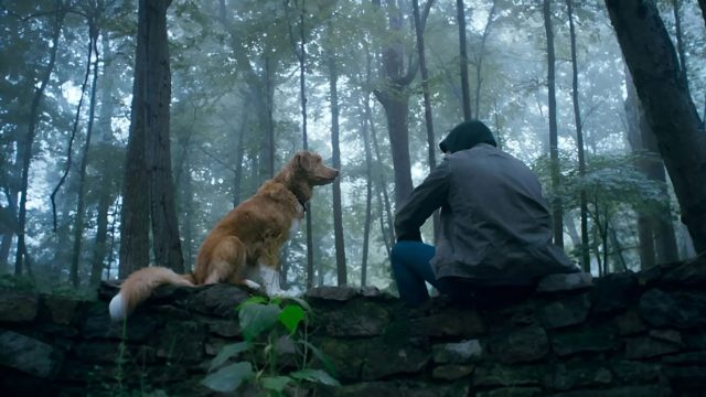 Good Boy filmi neyi anlatıyor, konusu nedir? Alışılagelmiş korku filmlerinden