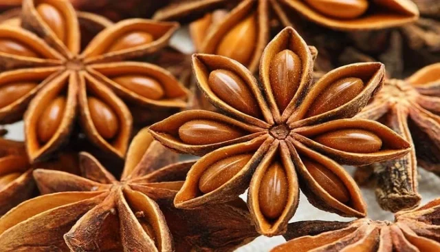 Rüyada Anason Görmek Ne Anlama Gelir? Rüyalar, bilinçaltımızın dünyasıyla iletişim