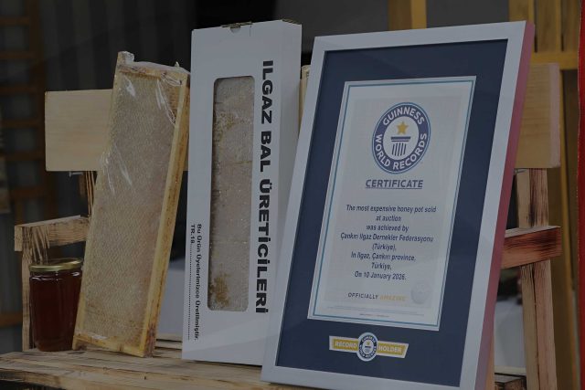 Bir Kilosu Yaklaşık 500 Bin Liraya Satılan Bal Guinness Rekoru