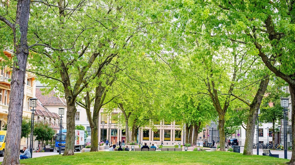 Oslo, yeşil alan erişimi ve temiz havasıyla dünyanın en yaşanabilir