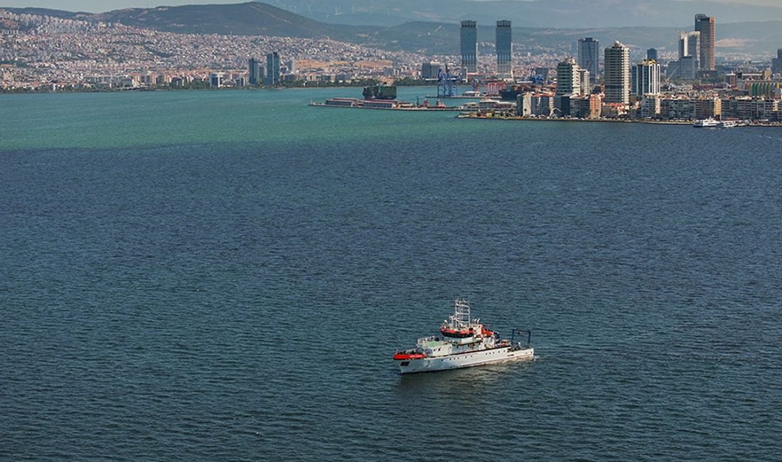 İzmir Körfezi’nde Midyelerde Virüs Tespit Edildi: İç Körfez Balıkları İçin de Uyarı İzmir Körfezi’nden çıkarılan midyelerde Hepatit A ve Norovirüs tespit edildi.