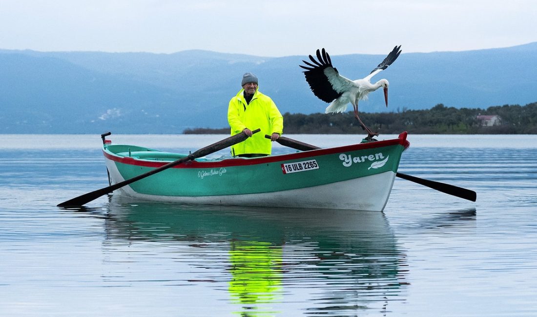 15 Yıllık Dostlukta Yeni Bahar: Adem Amca ile Yaren Leylek Yine Buluştu Bursa Karacabey’de Adem Amca ile Yaren Leylek 15. kez buluştu.