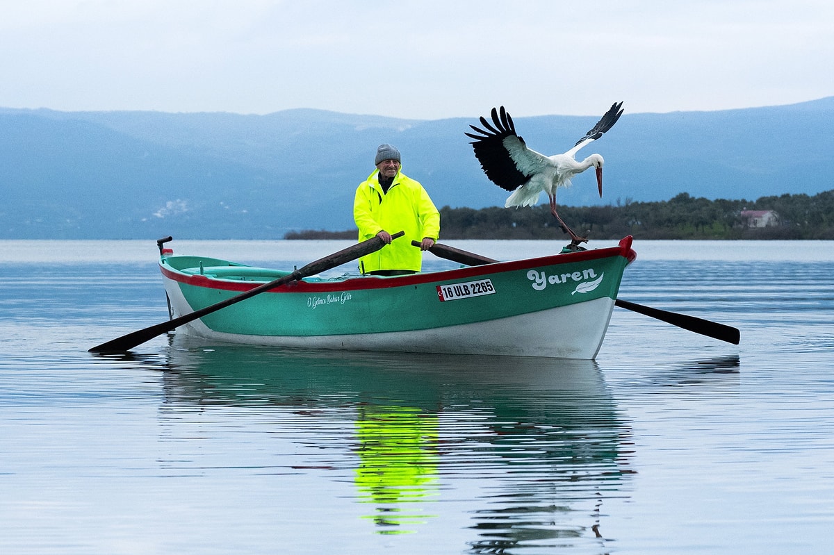 15 Yıllık Dostlukta Yeni Bahar: Adem Amca ile Yaren Leylek Yine Buluştu Bursa Karacabey’de Adem Amca ile Yaren Leylek 15. kez buluştu.