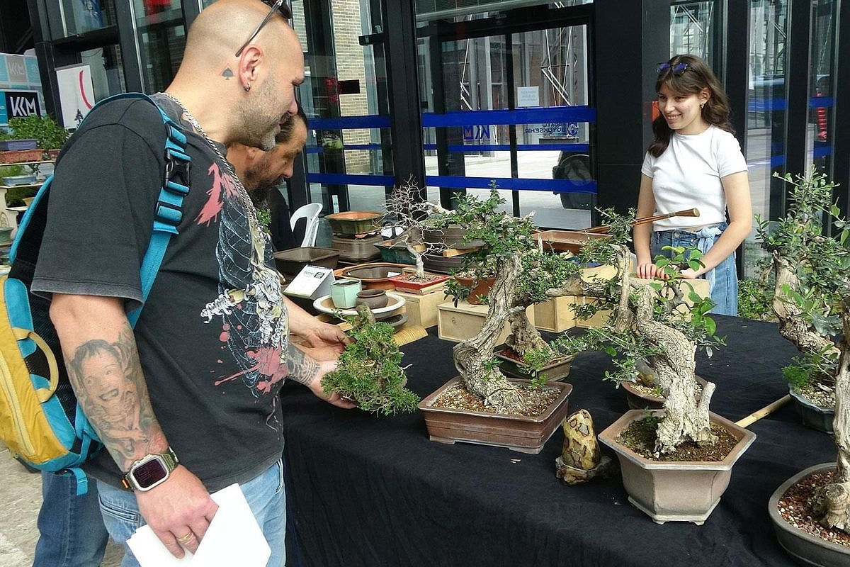 Kocaeli’de düzenlenen Bonsai Sergisi’nde bazı ağaçların değeri 1 milyon TL’ye