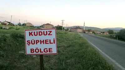 Van'ın Edremit ilçesinde bir köpekte kuduz vakası tespit edildi. 7